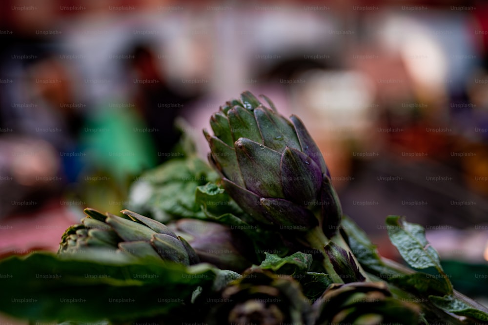 a bunch of artichokes sitting on top of a table