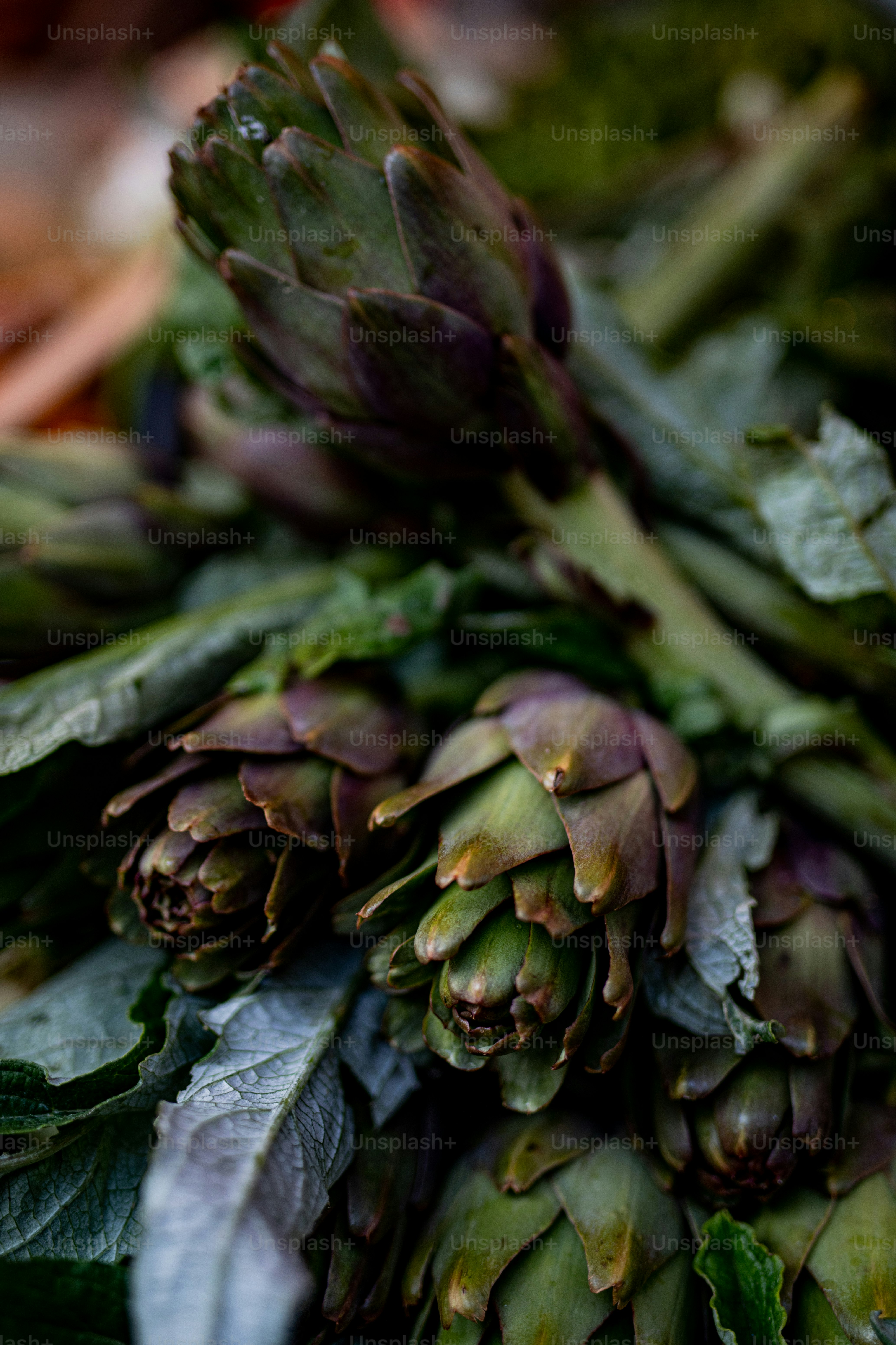 a bunch of green flowers sitting on top of a table