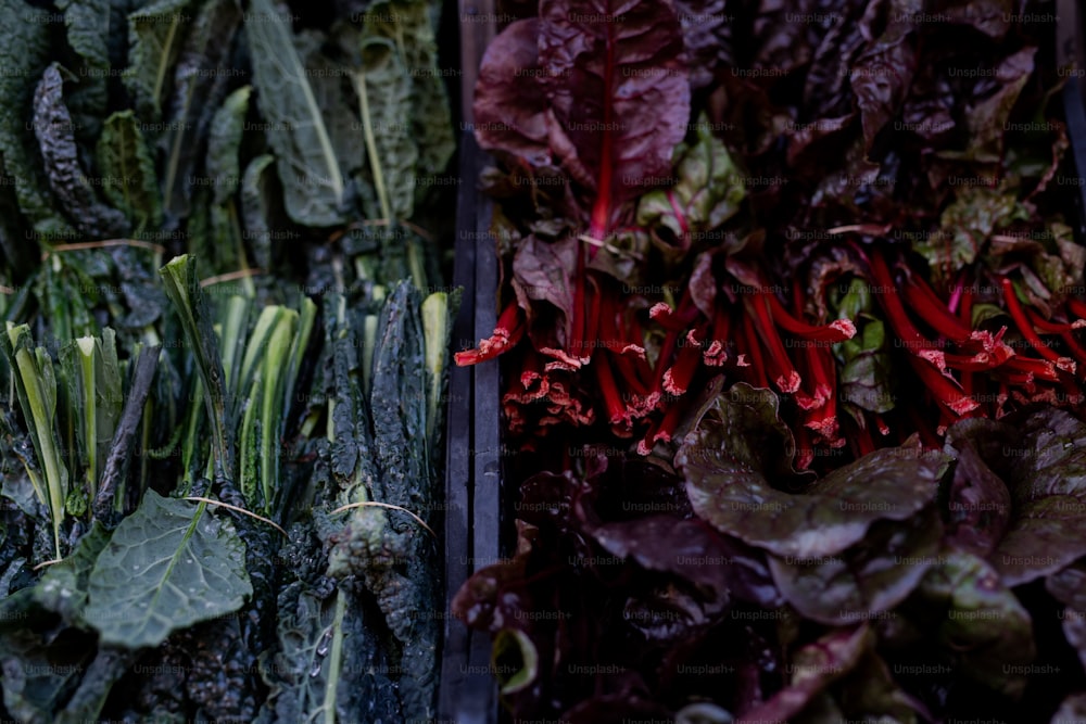 a bunch of different types of vegetables in bins