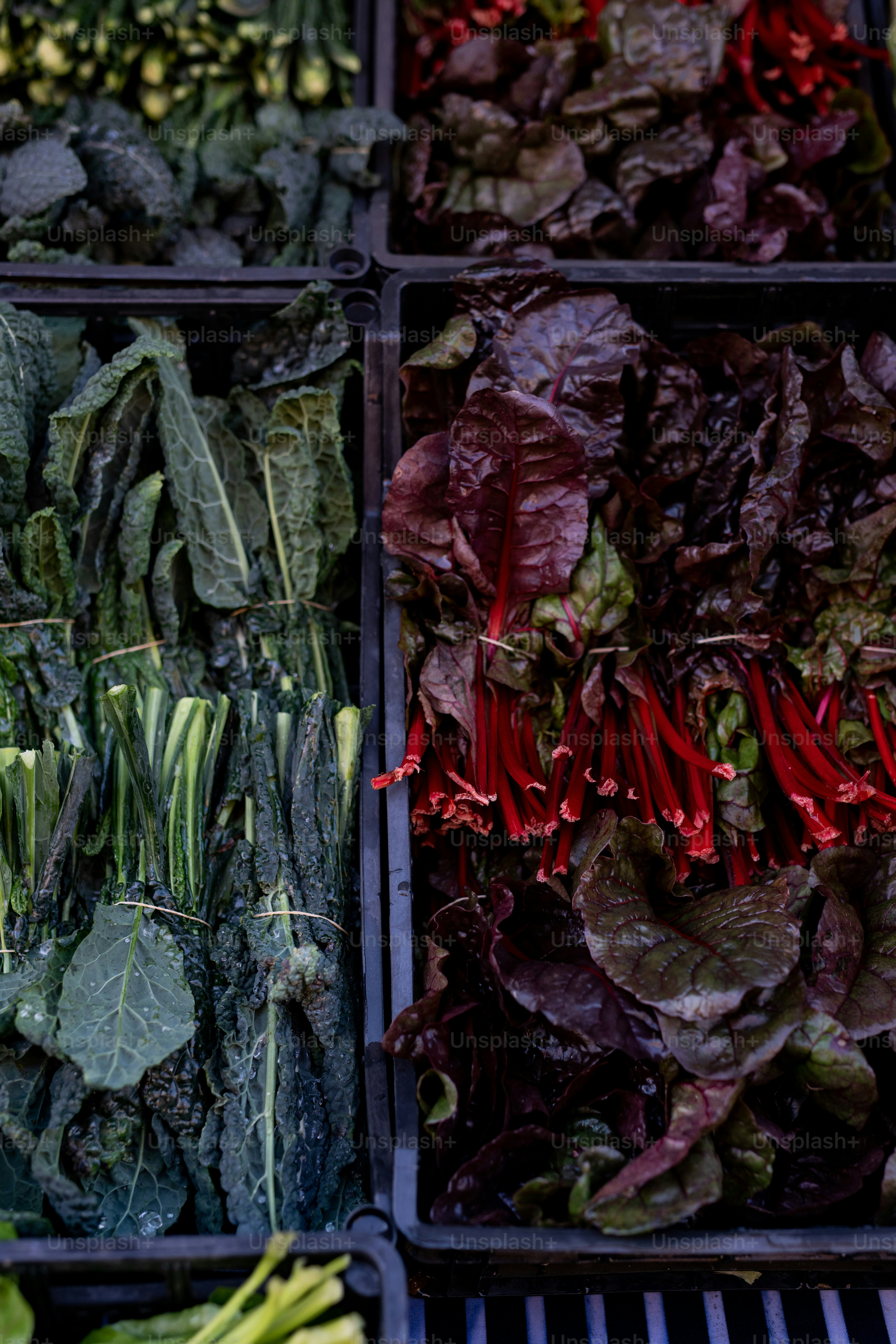 several trays of different types of vegetables