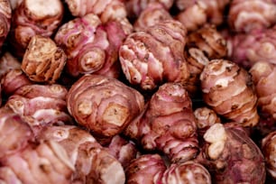 a close up of a bunch of gingers