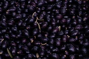 a pile of black olives sitting on top of a table