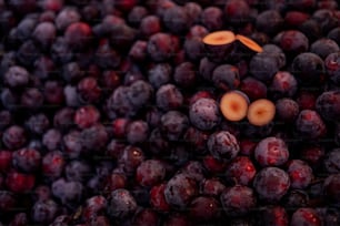 a close up of a bunch of grapes