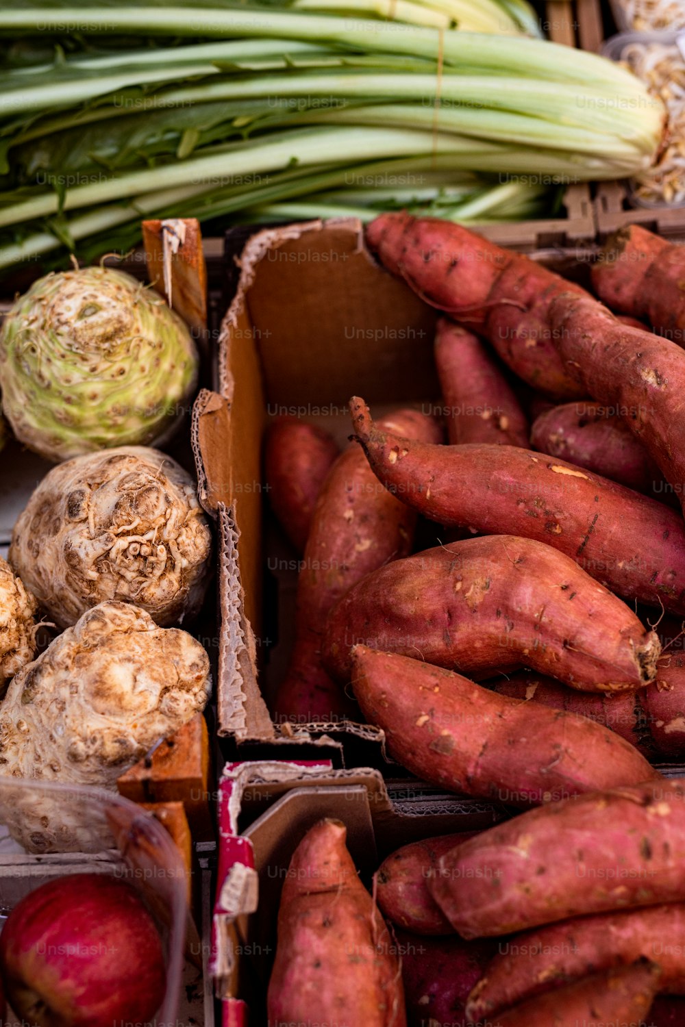 a box full of carrots, onions, celery, and onions