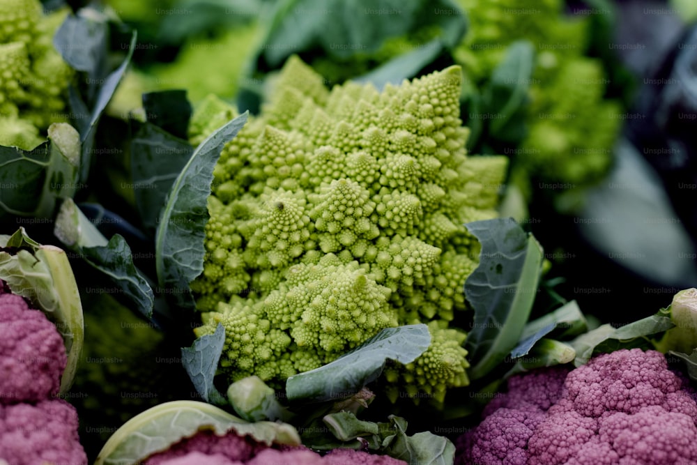 a bunch of broccoli sitting on top of each other