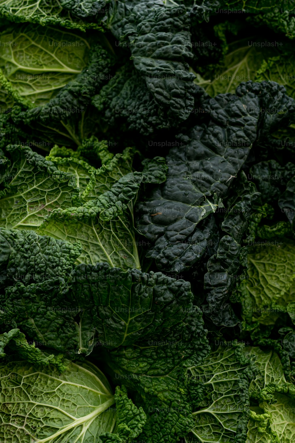 Un montón de verduras de hoja verde sentadas encima de una mesa