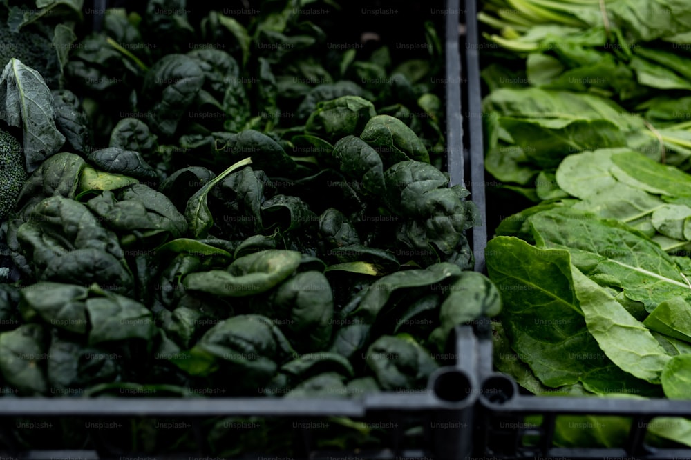 a couple of crates filled with lots of green leaves