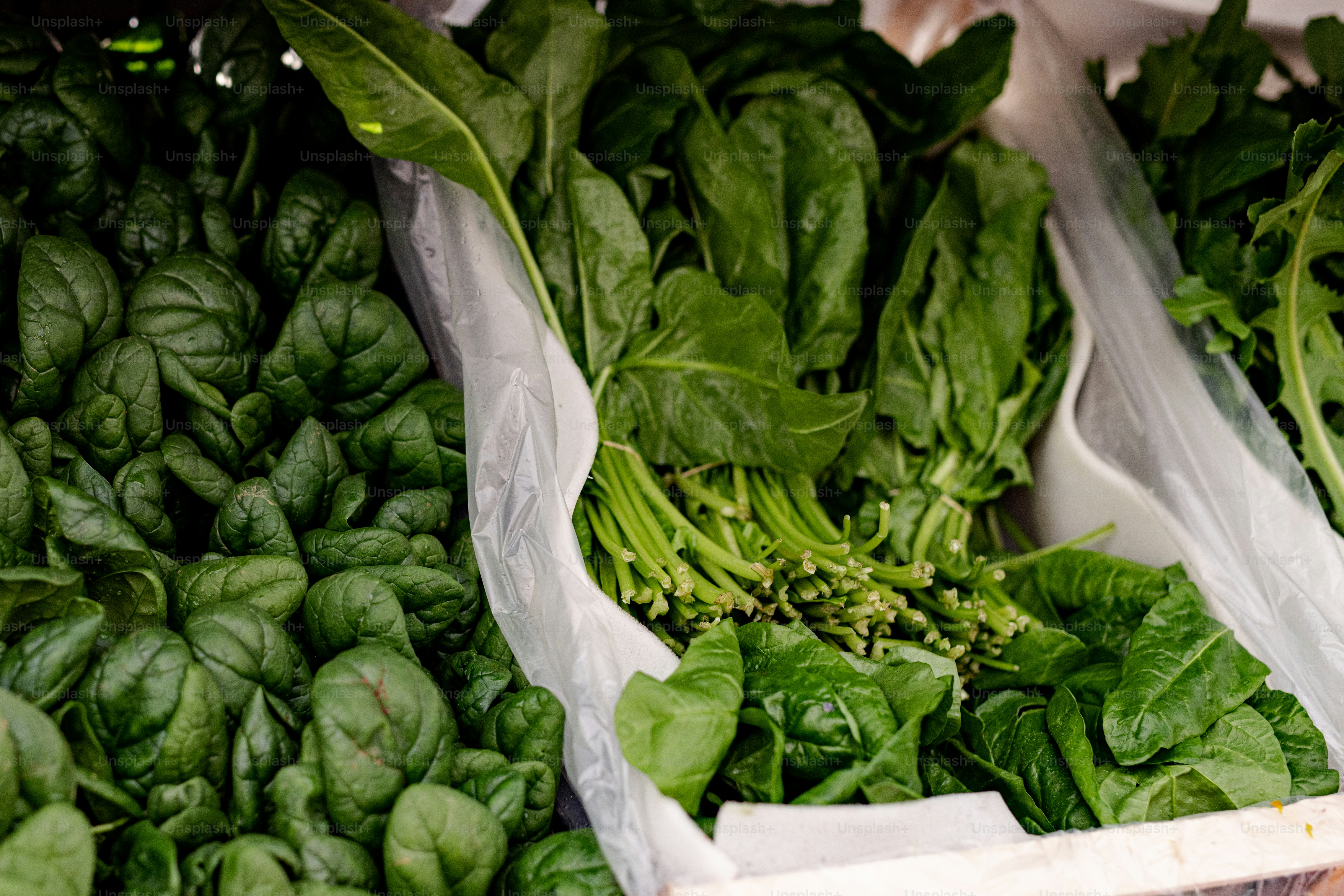a pile of green vegetables sitting next to each other
