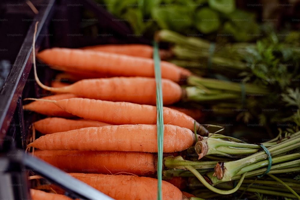 Ein Haufen Karotten sitzt nebeneinander