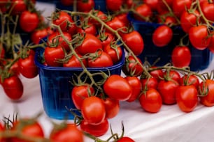 Una mesa cubierta con cuencos azules llenos de tomates rojos
