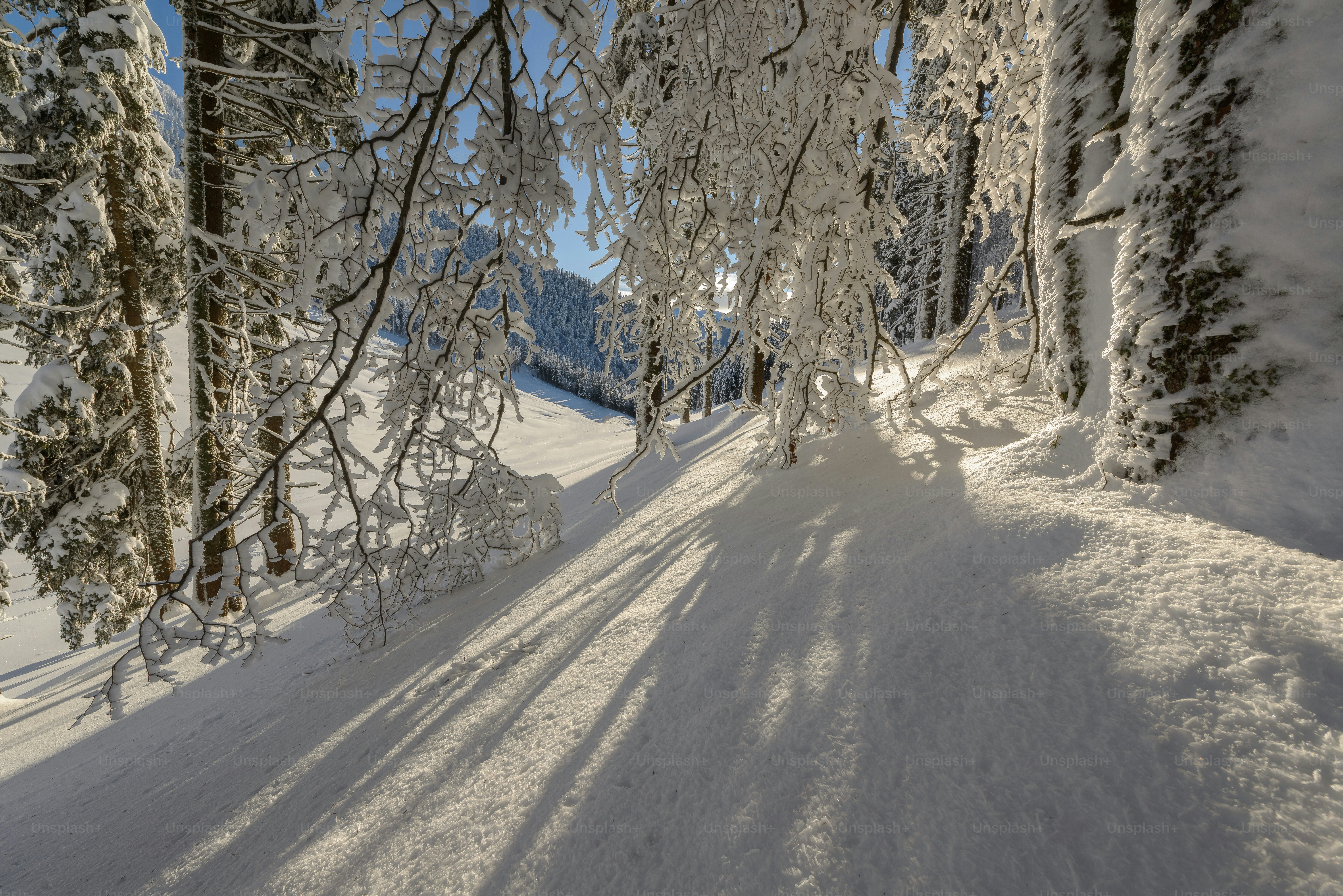 Desenho Simples,Inverno,Pinguim,Antártico,Neve,Montanha,Quadro,Fundo | PSD  baixar grátis - Pikbest, image size:3000x2002