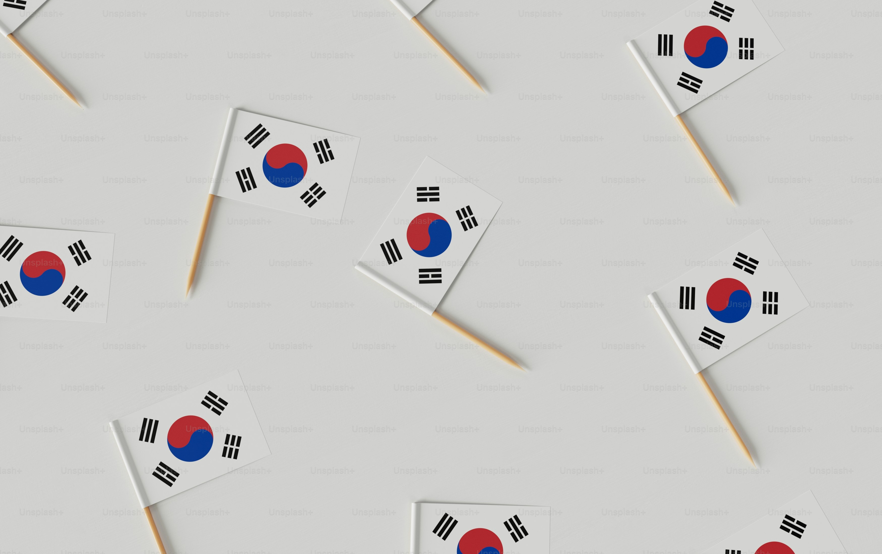 Flag of South Korea