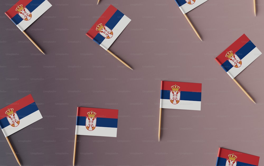 a group of toothpicks with flags on them