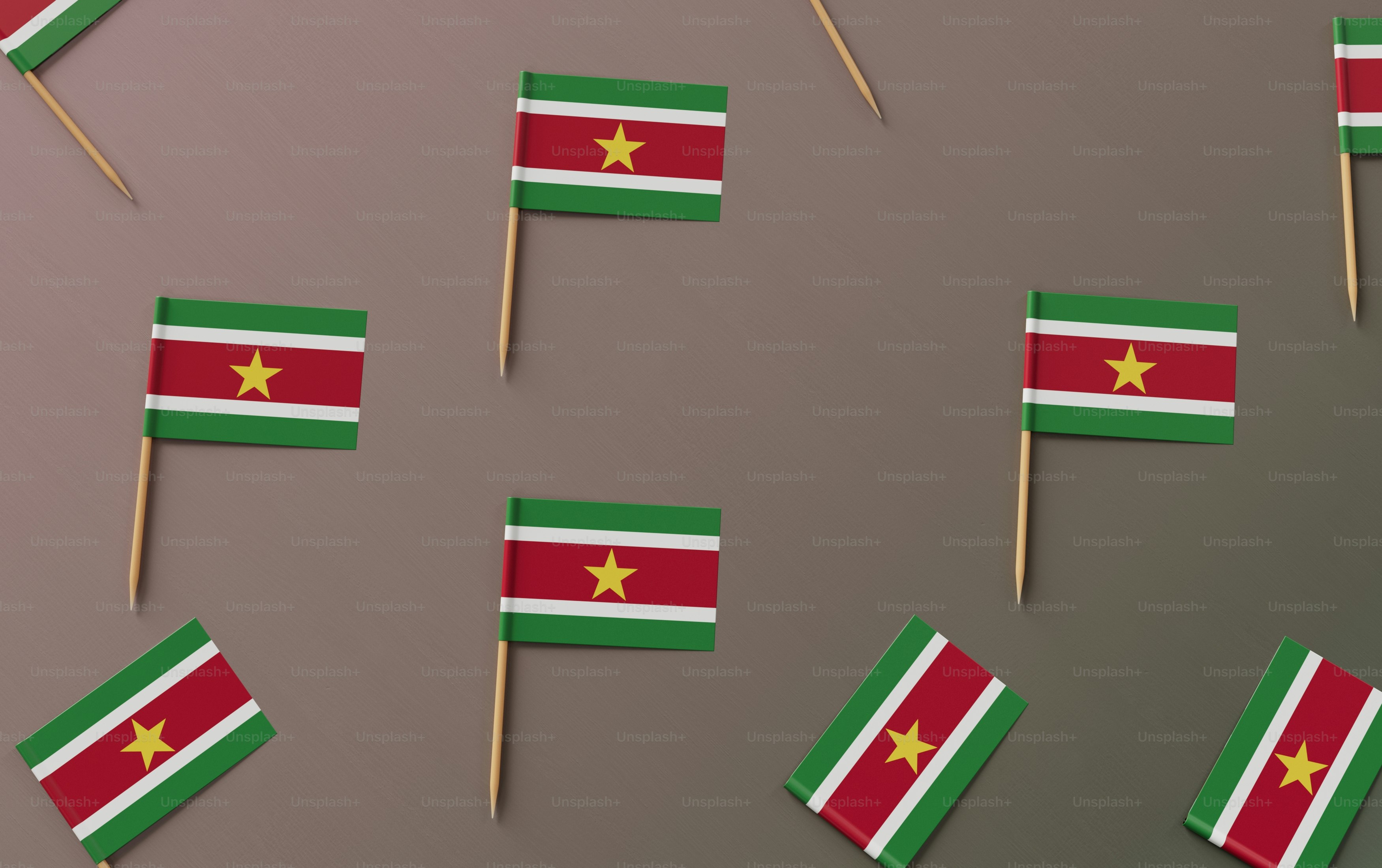 Flag of Suriname