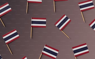 a group of small toothpicks with flags on them