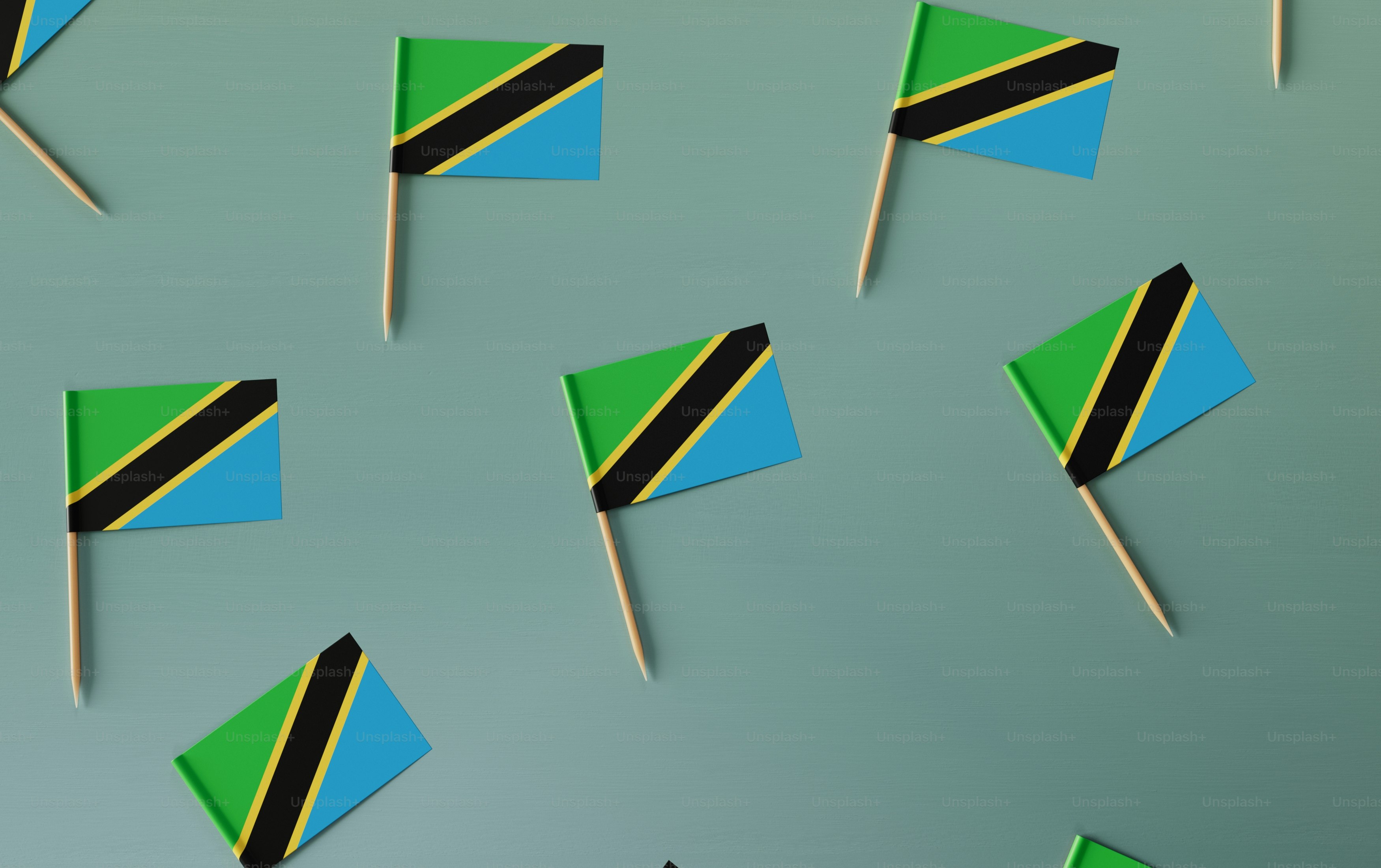 premium_photo-1675367606638-b949144bc57a?ixid=M3wxMjA3fDB8MXxzZWFyY2h8MTd8fHN1Z2FyJTIwZGFkZHklMjB3ZWJzaXRlcyUyMGluJTIwc291dGglMjBhZnJpY2F8ZW58MHx8fHwxNzUzNDU1MDU1fDA\u0026ixlib=rb-4.1.0