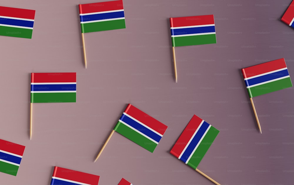 a group of small toothpicks with flags on them