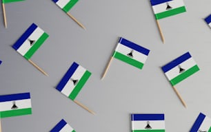 a group of small toothpicks with flags on them