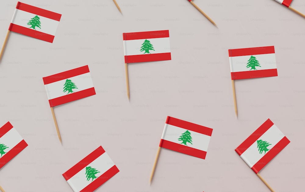 a group of toothpicks with flags on them