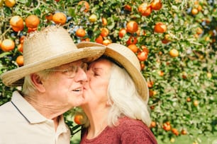 a man and a woman kissing in front of an orange tree