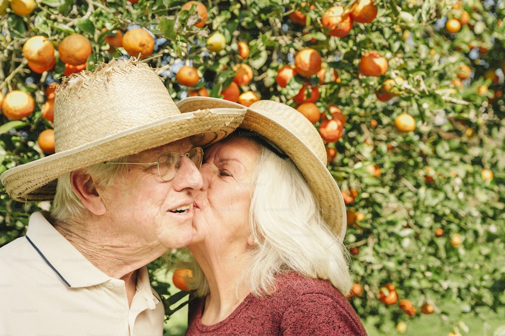 a man and a woman kissing in front of an orange tree