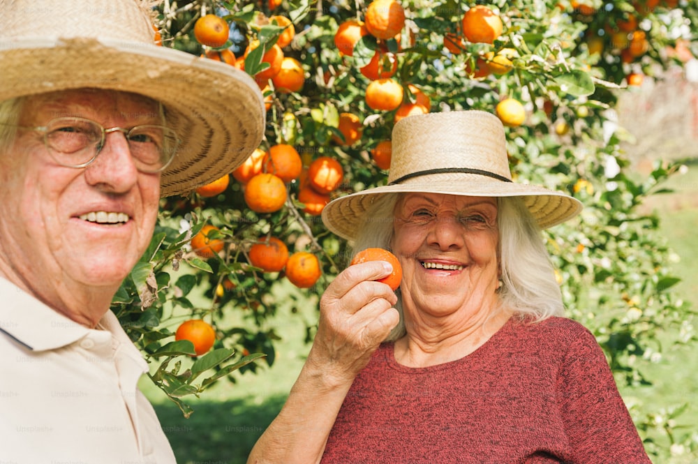 a man and a woman standing under an orange tree