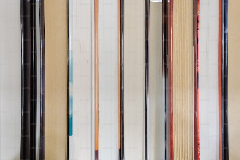 a room with a bunch of books on the wall