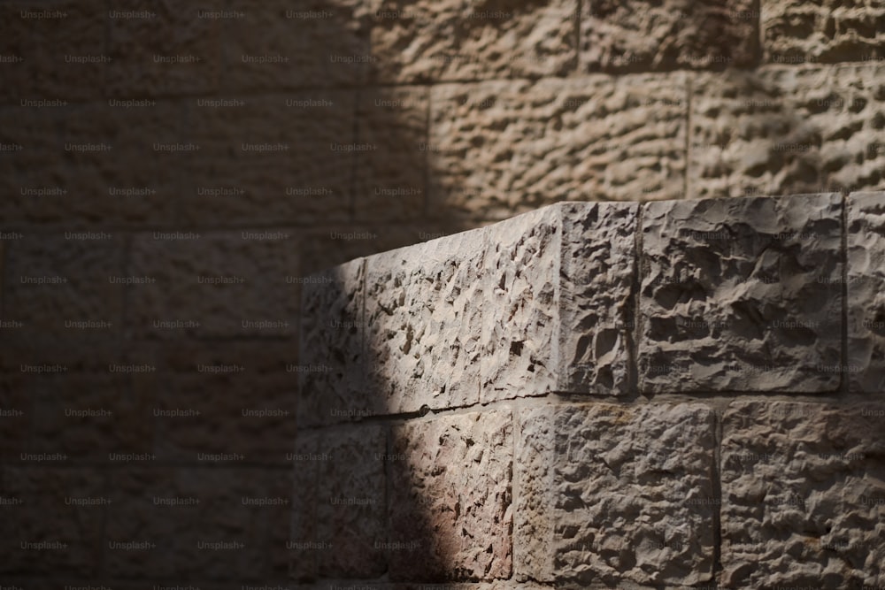 un gros plan d’un mur de briques avec une ombre dessus