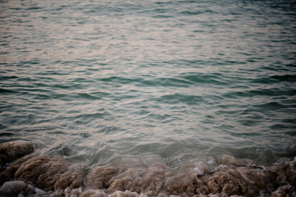 Uno specchio d'acqua con onde che arrivano a riva