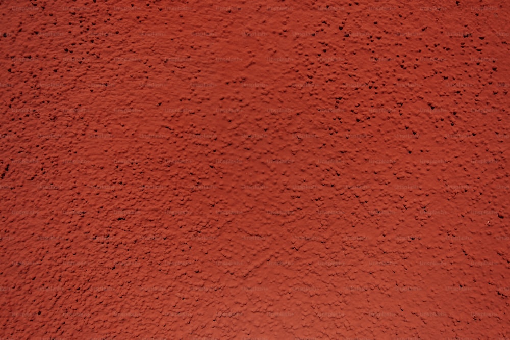 a close up of a red wall with black dots