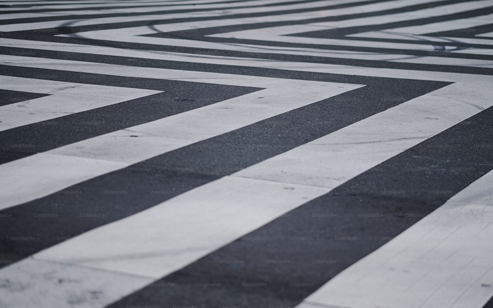 Crossing Road Pictures  Download Free Images on Unsplash
