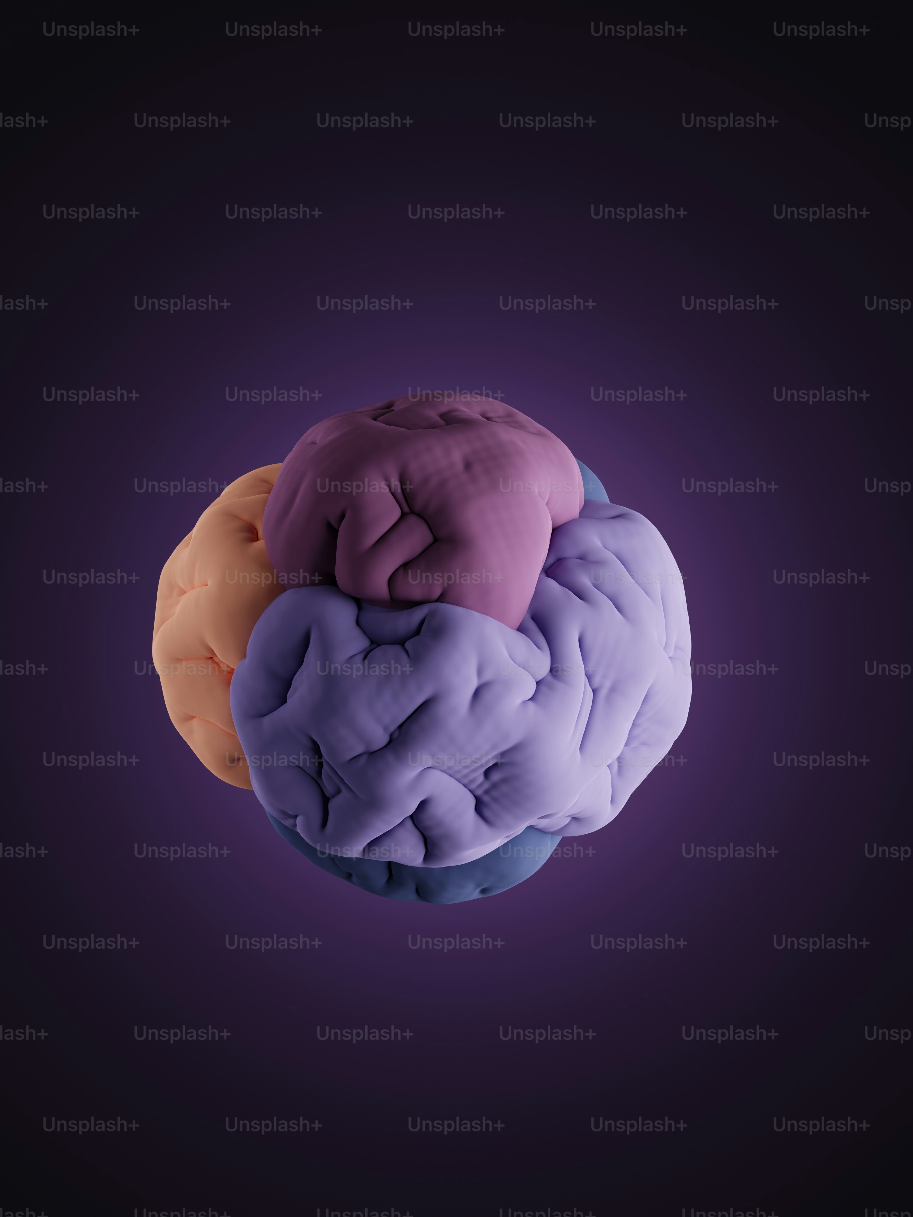 a computer generated image of a human brain