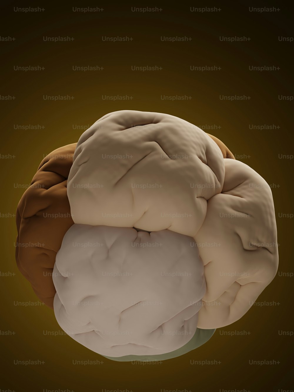 une image générée par ordinateur d’un cerveau humain