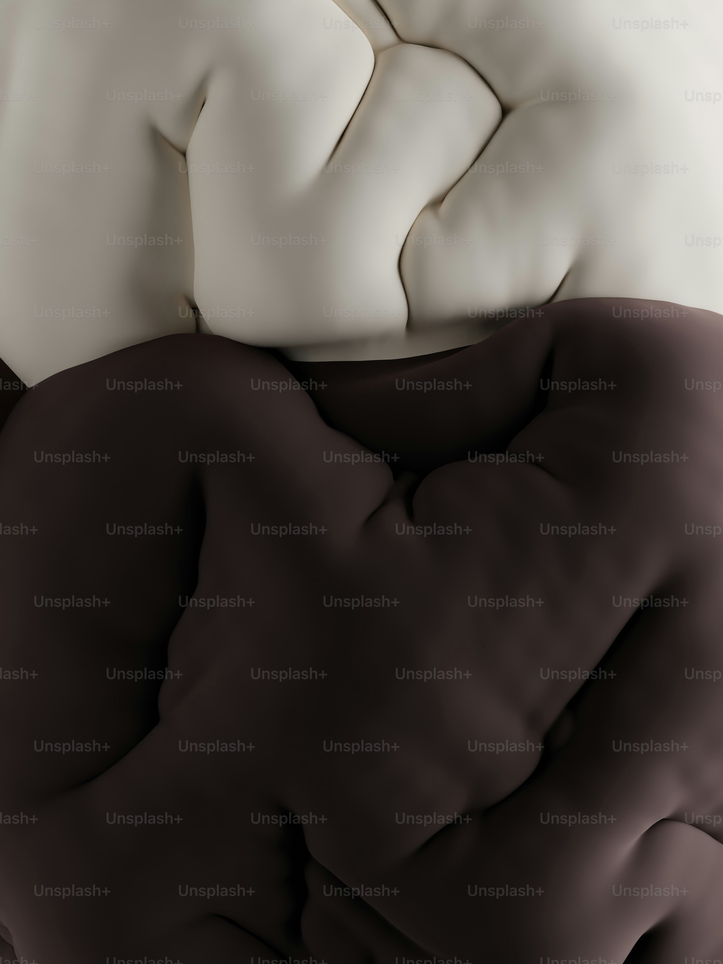 premium_photo-1675376074213-a36912befae7?ixid=M3wxMjA3fDB8MXxzZWFyY2h8NjV8fERlcmlsYSUyMFBpbGxvd3xlbnwwfHx8fDE3NTMxMDc5MDV8MA%5Cu0026ixlib=rb-4.1.0