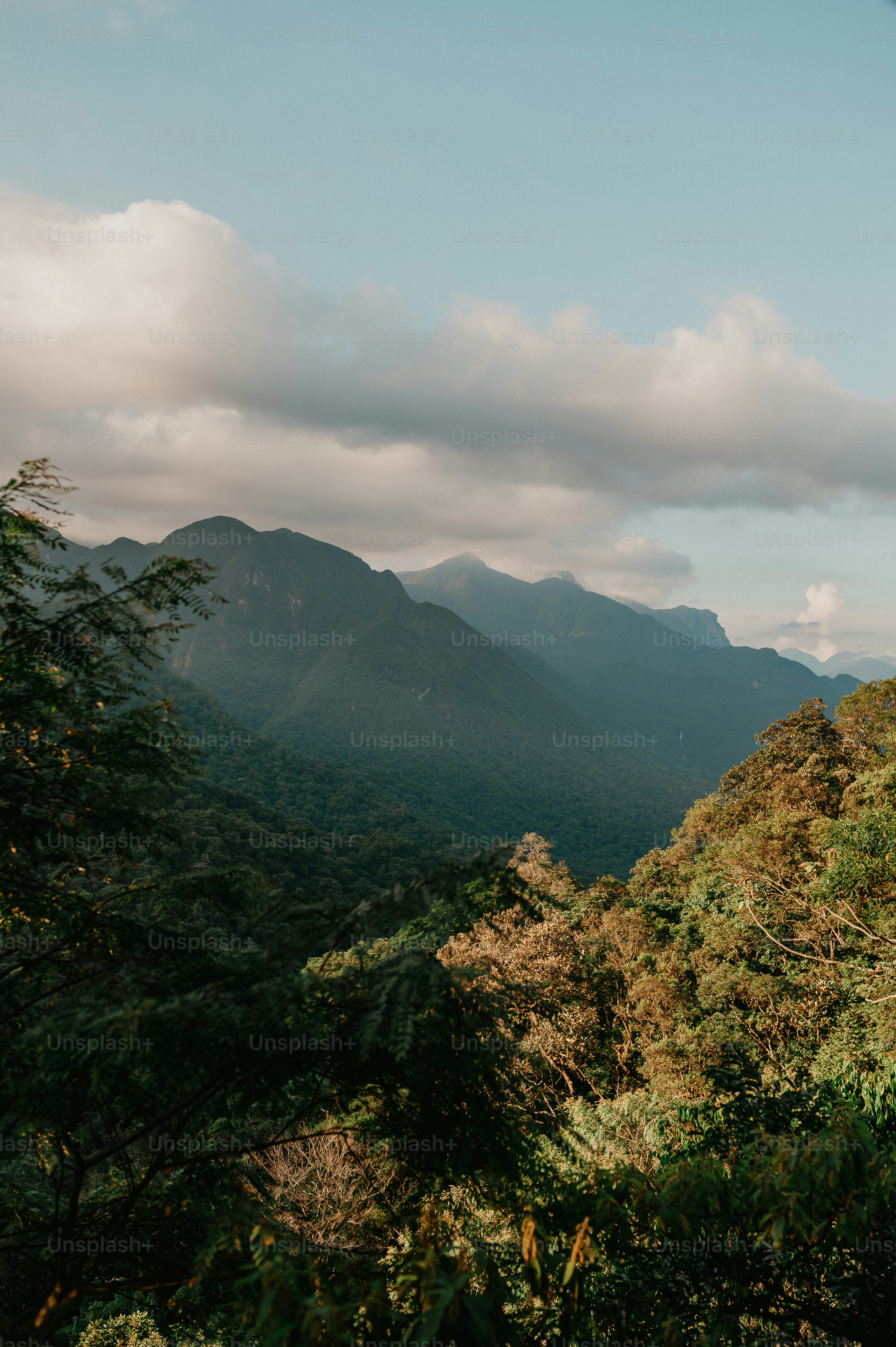 A view of a mountain range with trees and mountains in the background ...