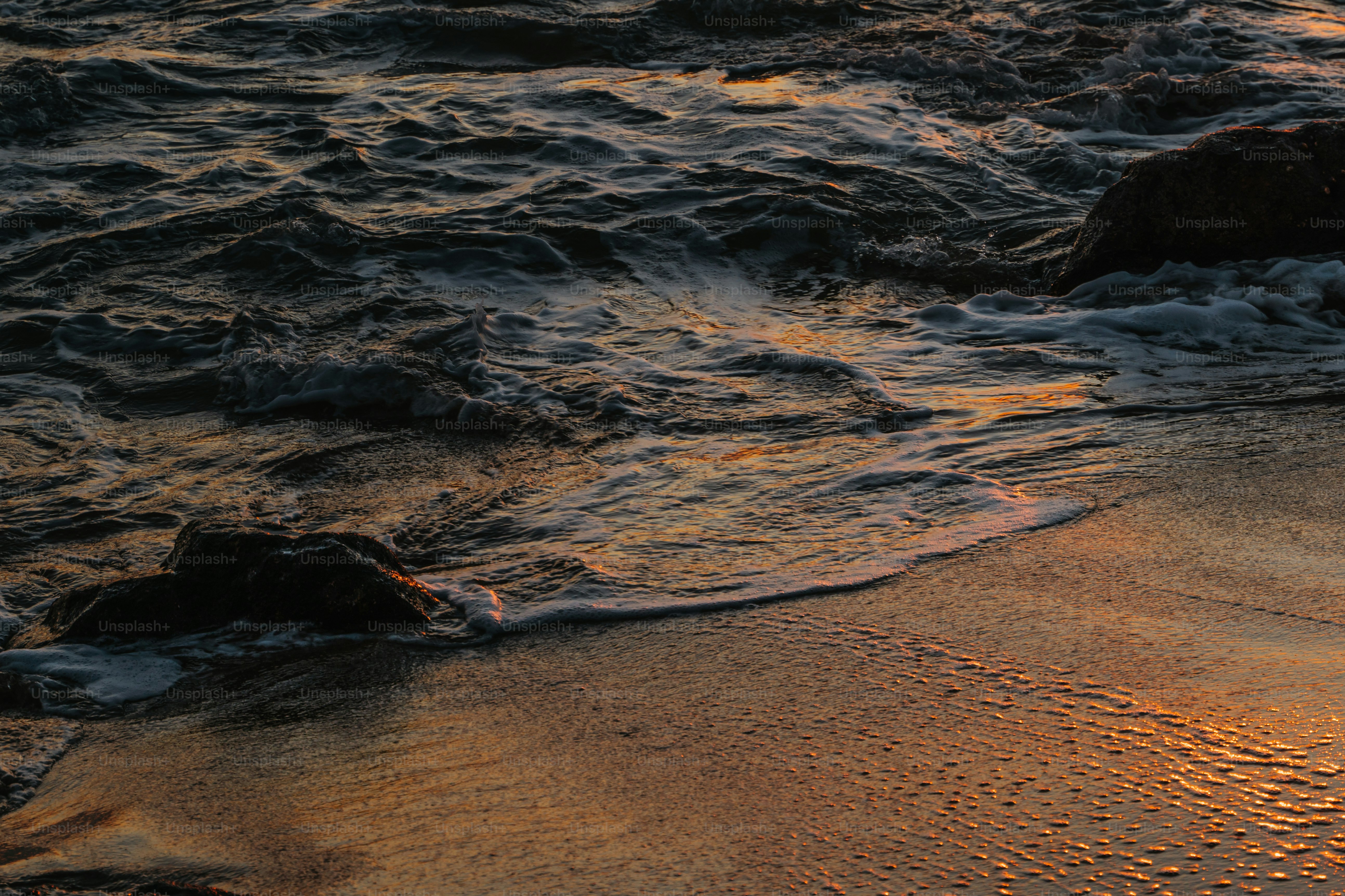 Ein Vogel steht auf einem Sandstrand am Meer