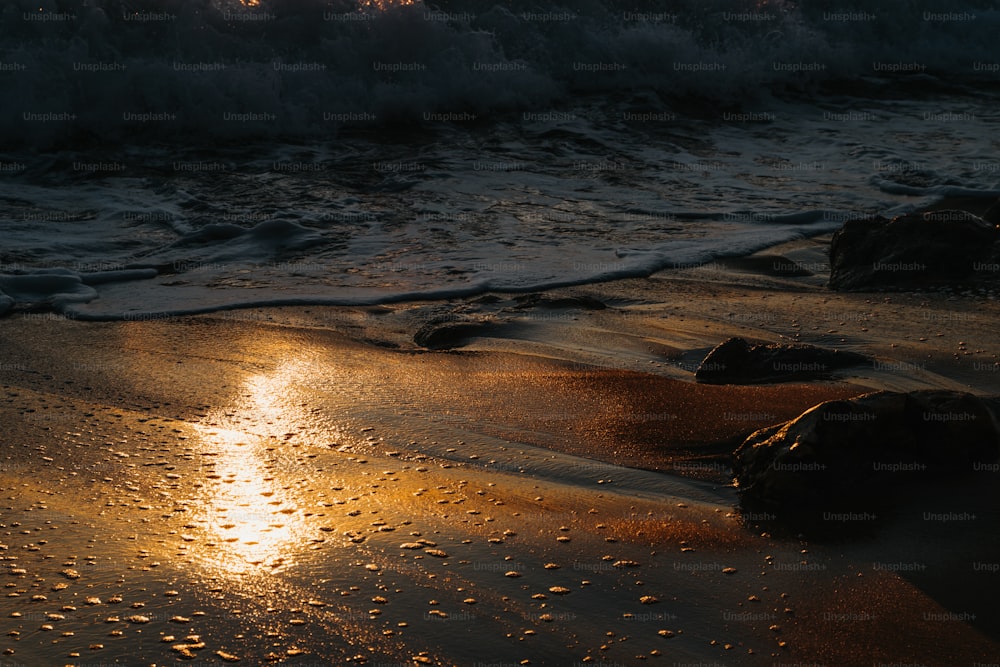 태양은 해변의 모래 위에 밝게 빛난다.