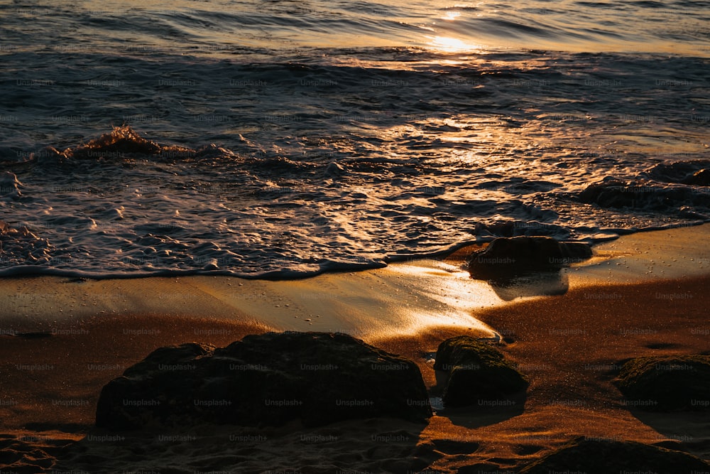 Premium Vector  Sunset panorama on the beach