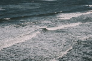 uma pessoa montando uma prancha de surf em cima de uma onda