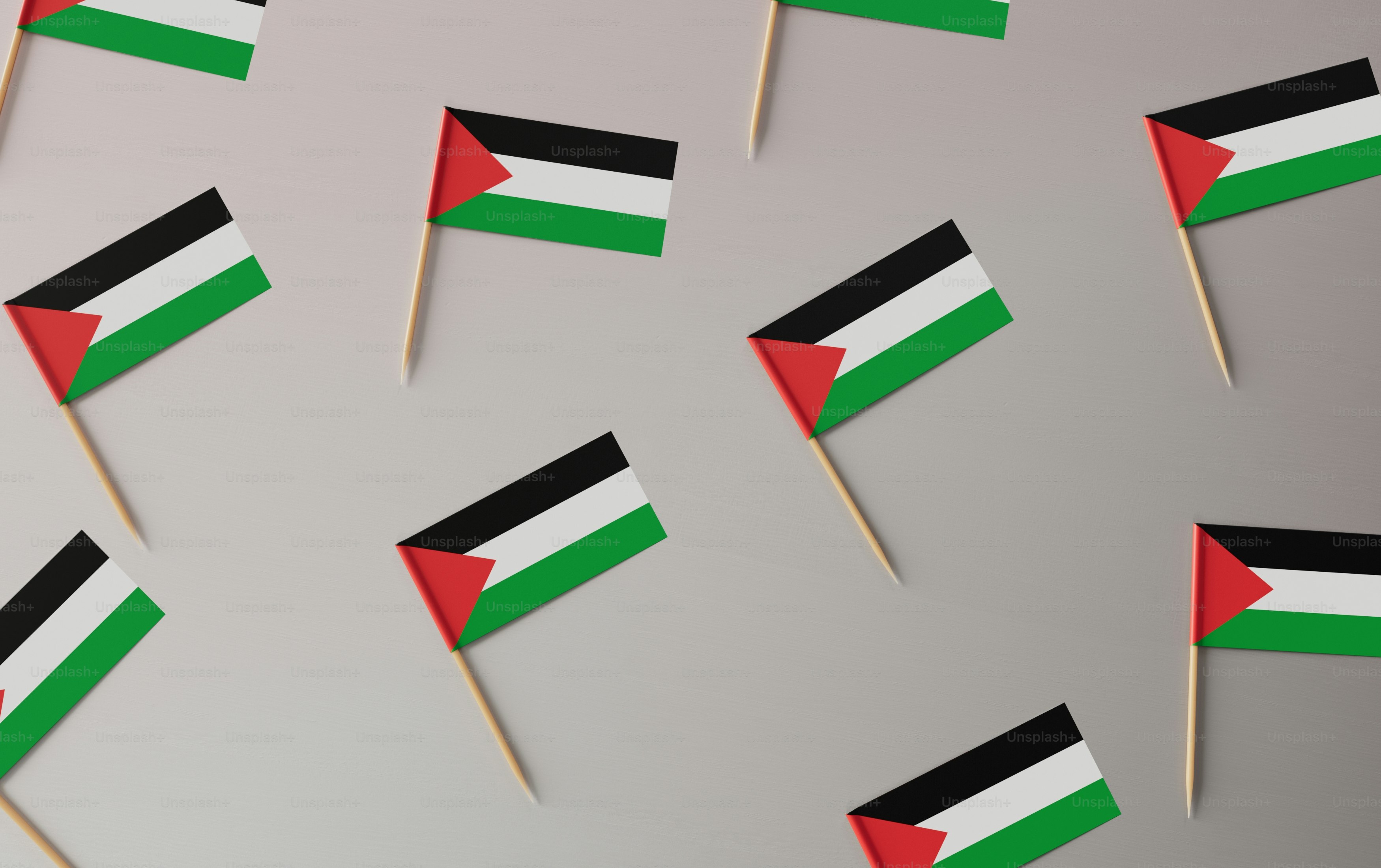 Flag of Palestine