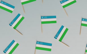 a group of toothpicks with flags on them