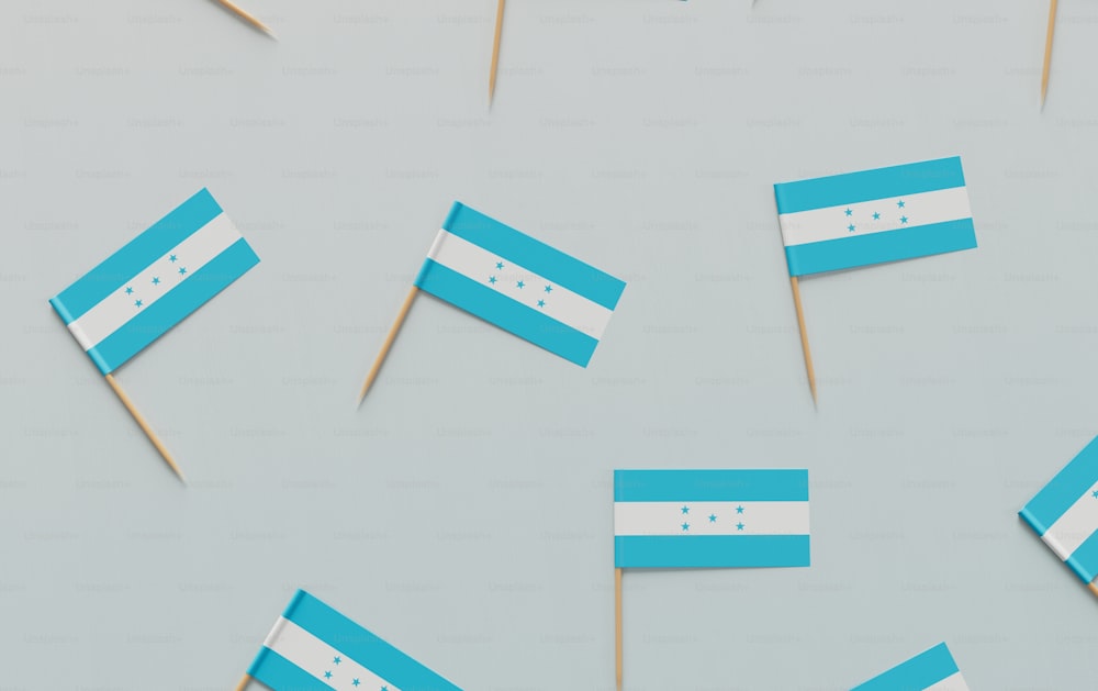 a group of toothpicks with flags on them