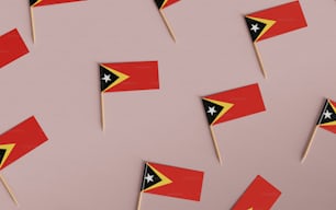 a group of small red and black flags