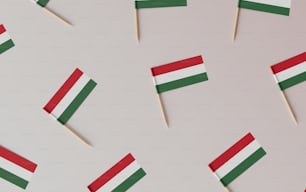 a bunch of toothpicks with flags on them