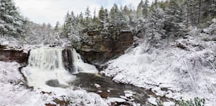 a waterfall in the middle of a snowy forest