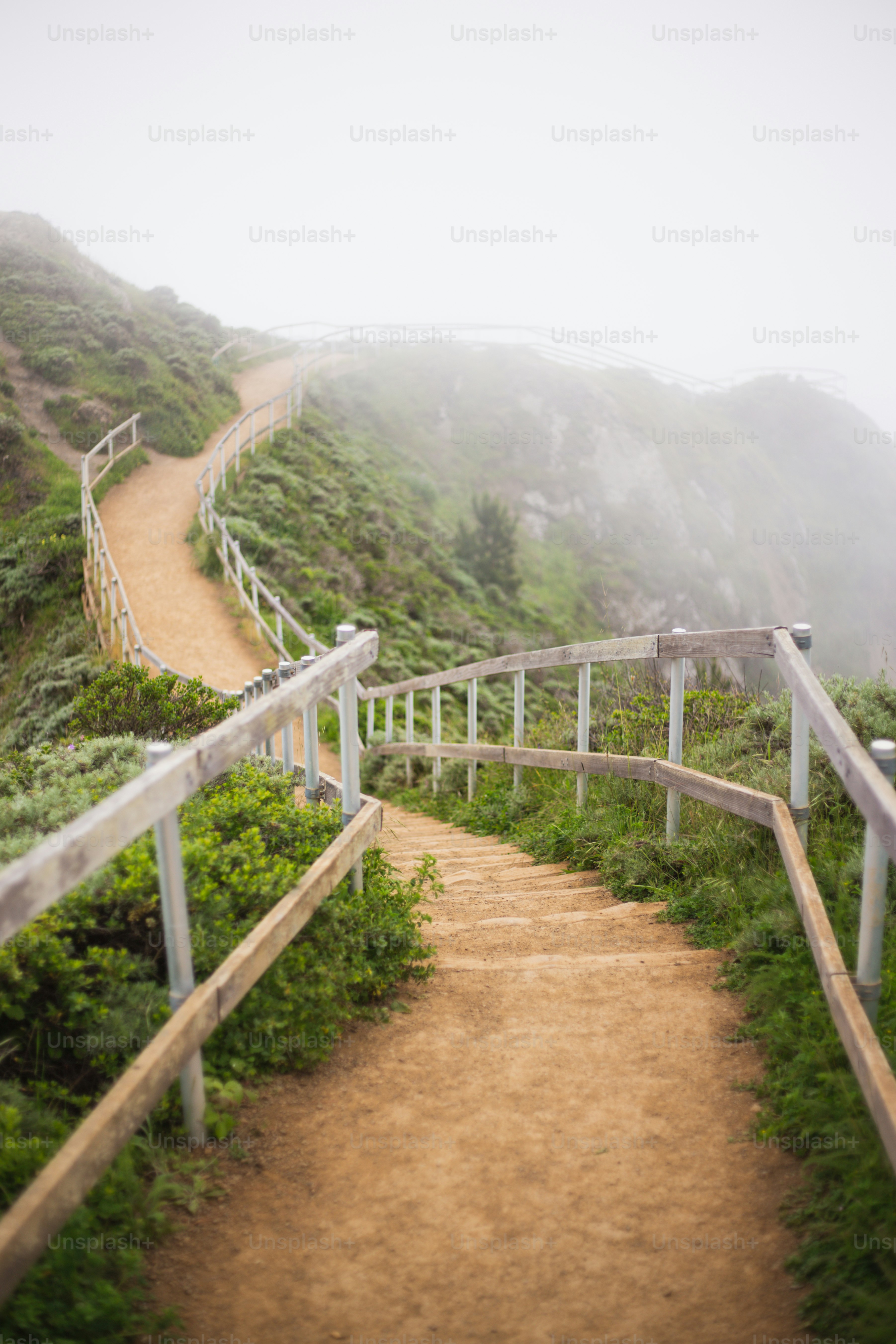 A set of stairs leading up to the top of a hill photo – San francisco ...