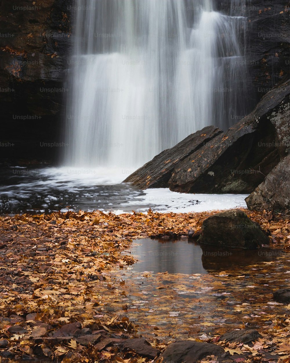 a waterfall with water cascading over rocks and fallen leaves