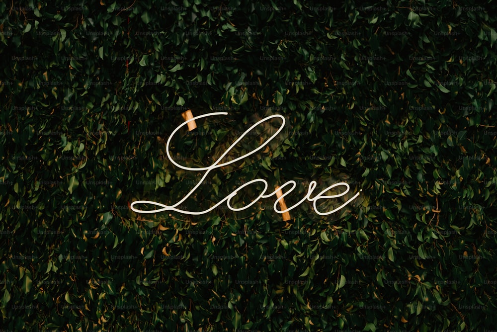 the word love is written on a wall of leaves
