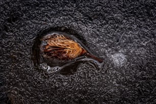 a piece of food sitting on top of a black surface