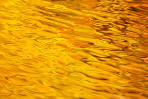 un primo piano di una superficie d'acqua con colori giallo e rosso